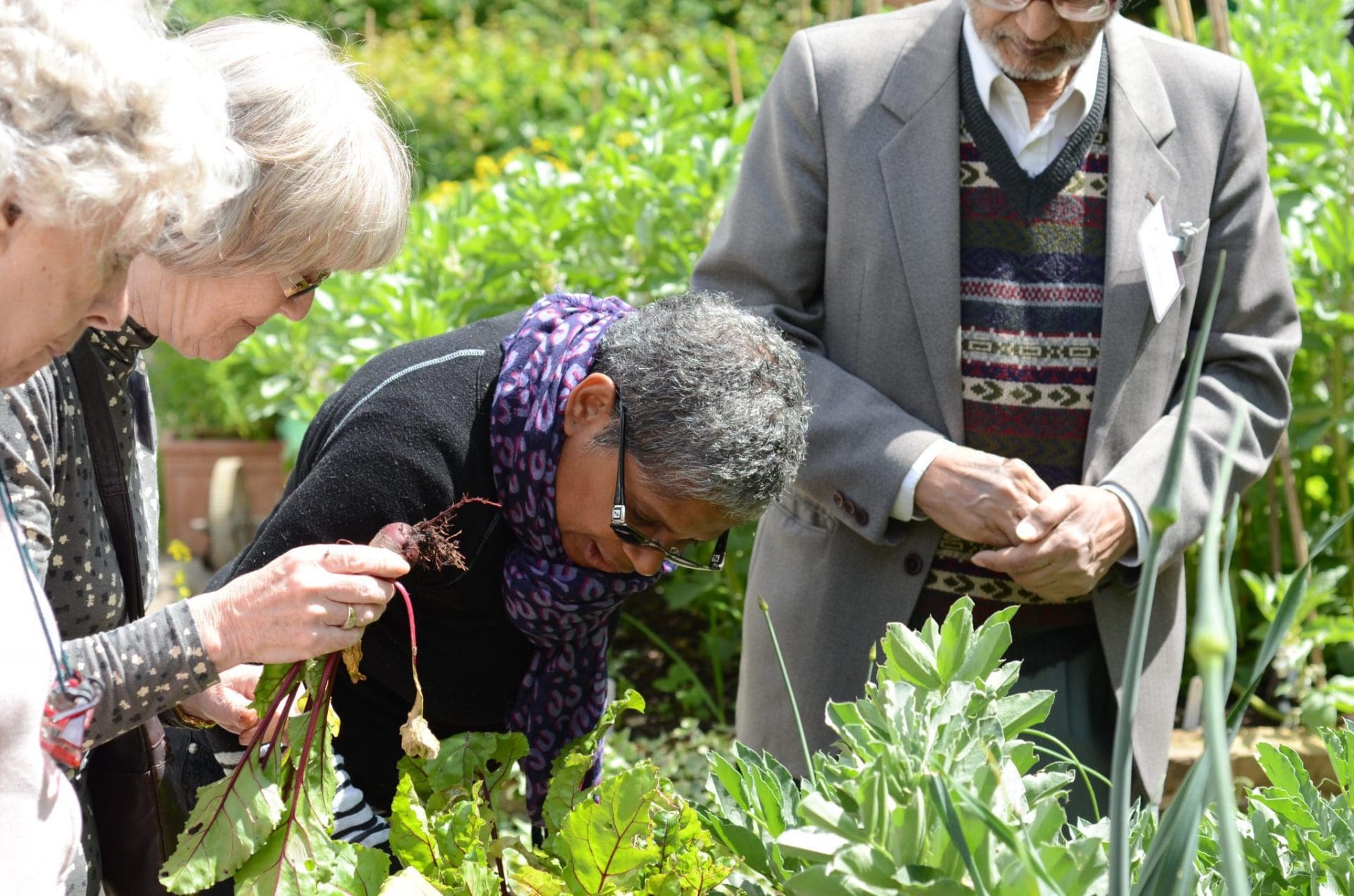 Dementia Support Volunteer