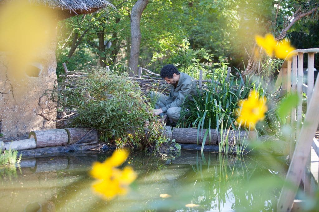 Garden Support Volunteer