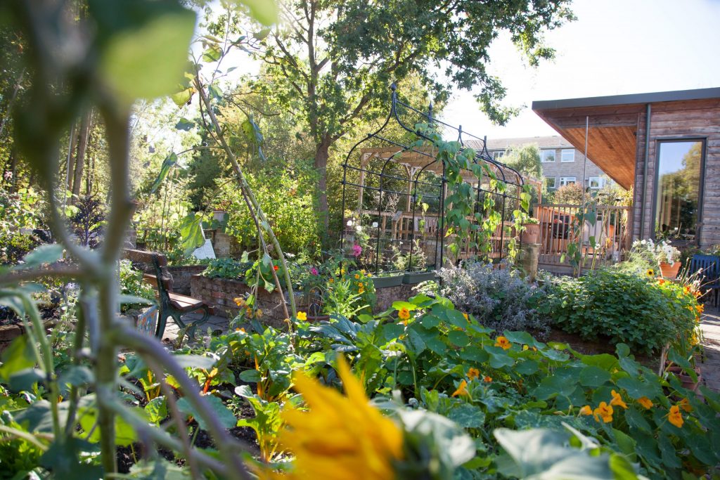 Garden Project Worker