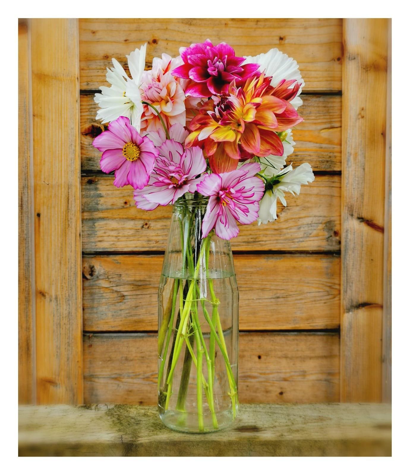 Community Activities & Volunteering Lead