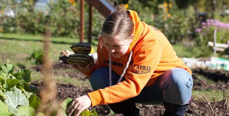A new project supporting people aged 18-25 based on the principles of Social and Therapeutic Horticulture and creative arts.