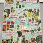 Practical Organic Gardening