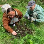 Practical Organic Gardening