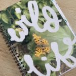 Practical Organic Gardening