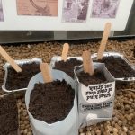 Practical Organic Gardening