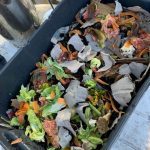 Practical Organic Gardening