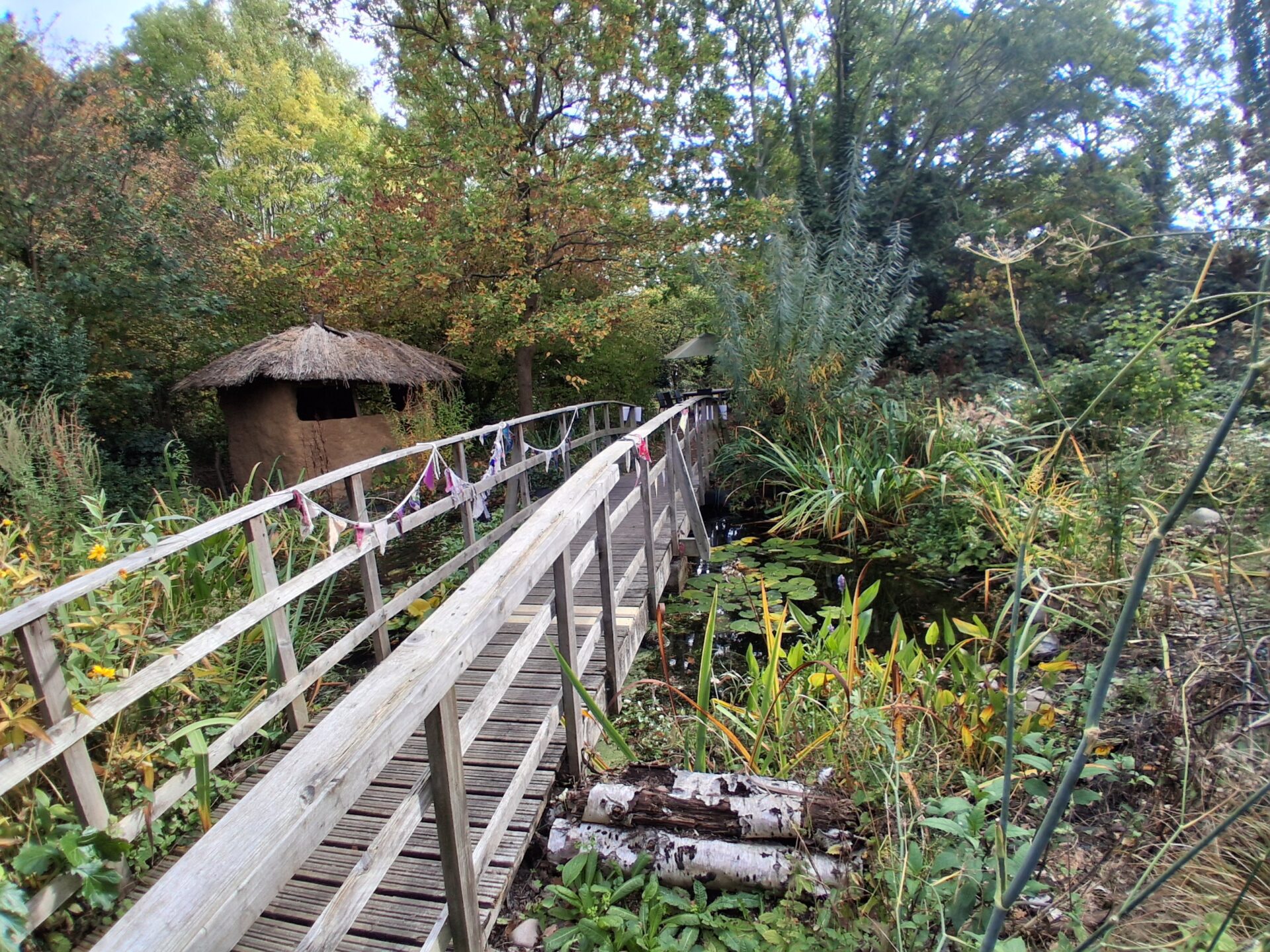 SG bridge and garden SG bridge and garden