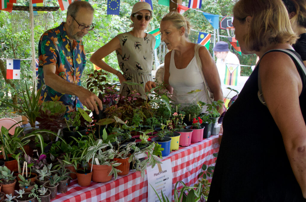 De Frene Summer Festival 2026 Update De Frene Summer Festival 2026 Update